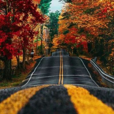 火狐体育APP体育手机app下载