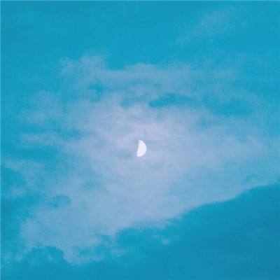 管家婆一码一肖资料大全下载手机版