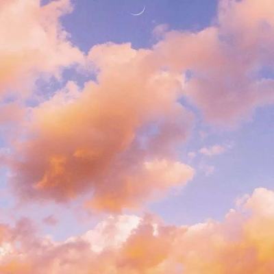 金年会官方APP下载